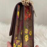 SaveClip.App_538413196_18126519649462853_2506539848143924486_n