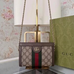 Gucci Brown Mini <br>Chain Bag